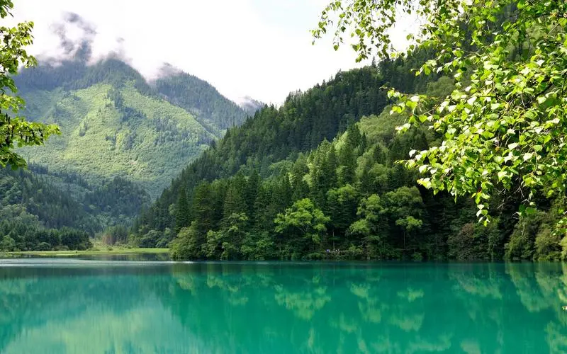 高端可靠性